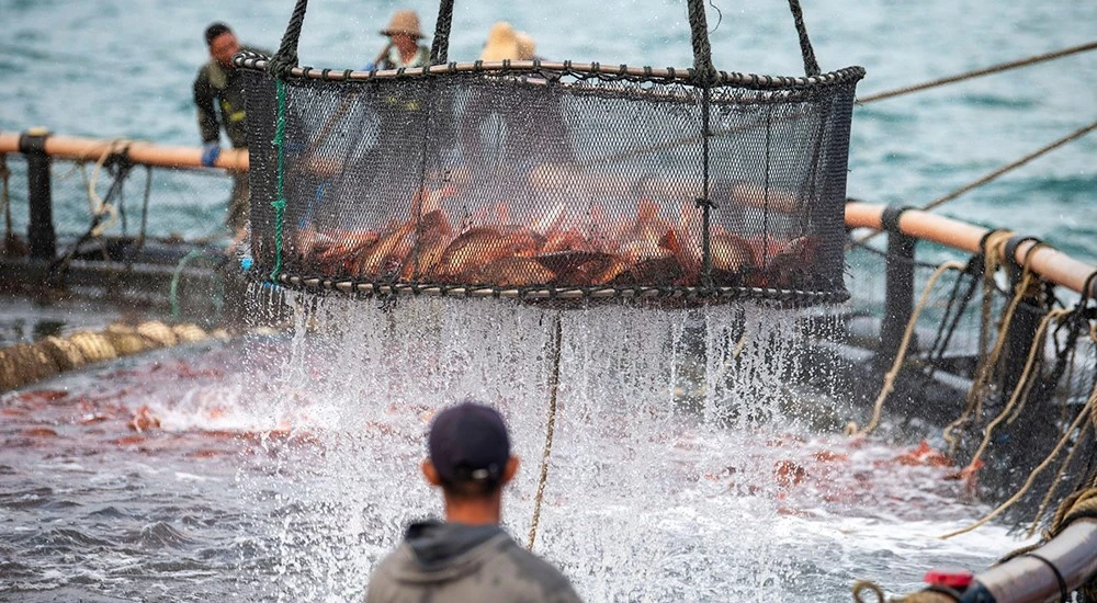Can containerized oxygen generators be used in aquaculture?
